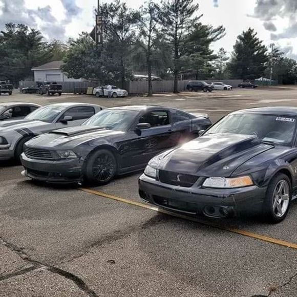 Meet your Posher, Michael - Picture 1 of 1